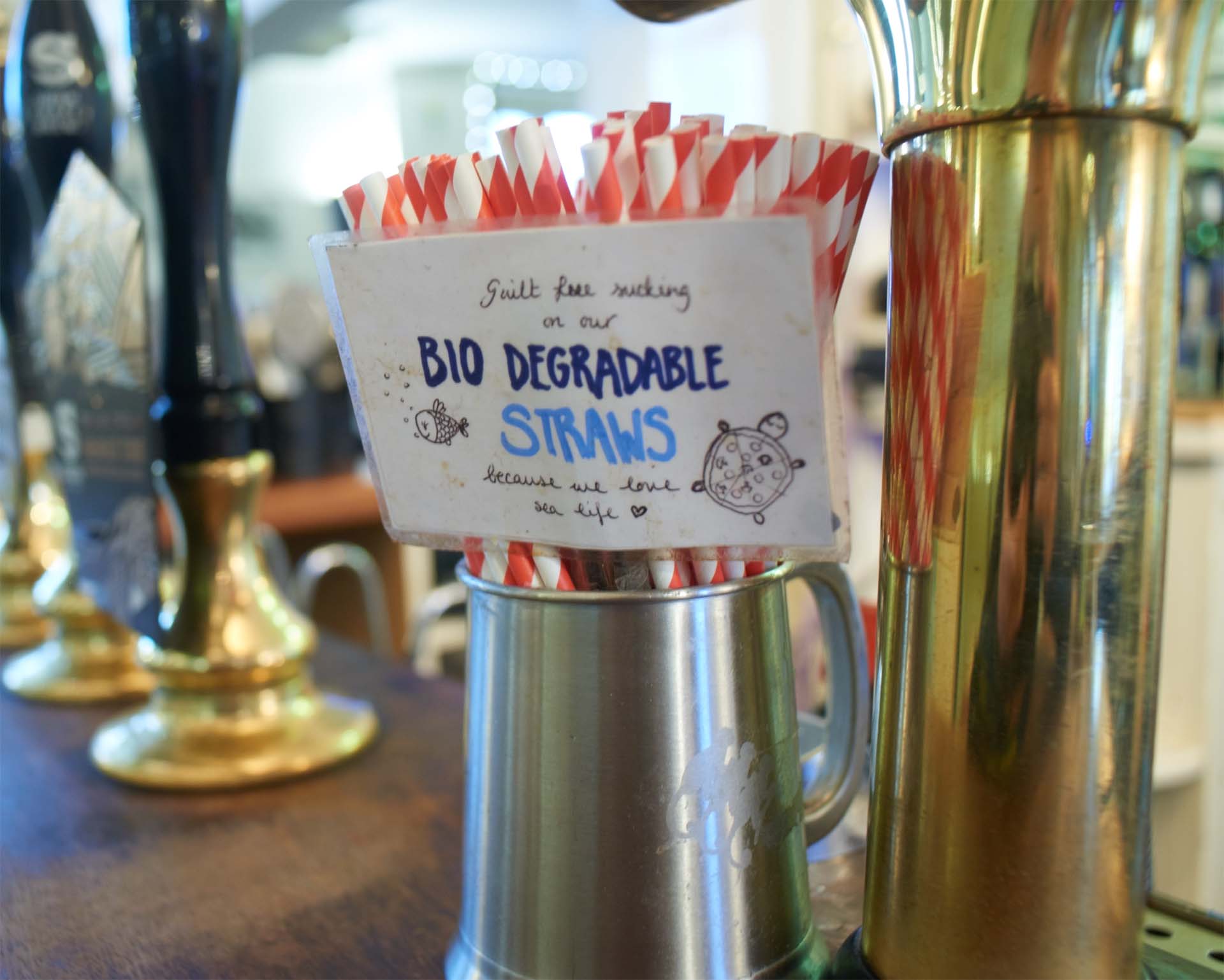 Sign showing "Guilt free sucking on our BIO DEGRADABLE STRAWS because we love sea life"